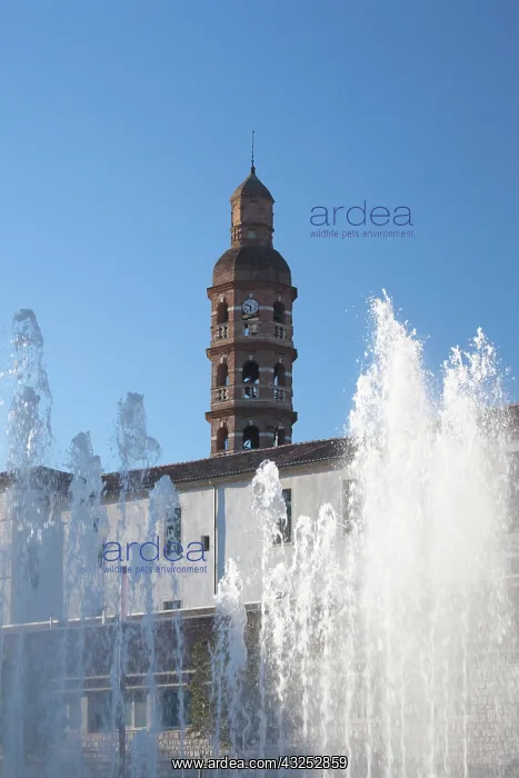 : France, Midi-Pyrenees Region, Lot Department : France, Midi-Pyrenees Region, Lot Department