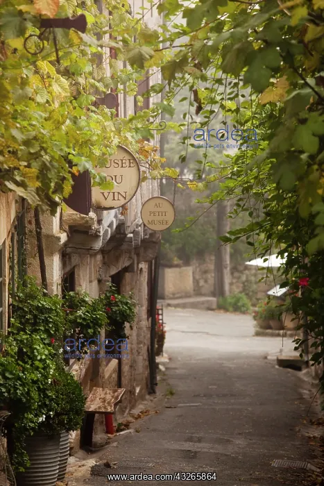 : France, Midi-Pyrenees Region, Lot Department : France, Midi-Pyrenees Region, Lot Department