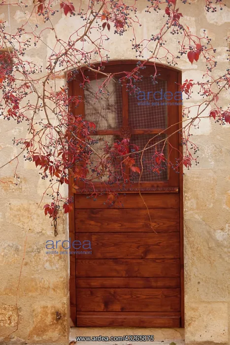 : France, Midi-Pyrenees Region, Lot Department : France, Midi-Pyrenees Region, Lot Department