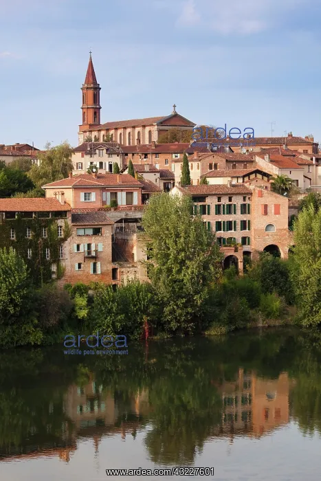 : France, Midi-Pyrenees Region, Tarn Department : France, Midi-Pyrenees Region, Tarn Department