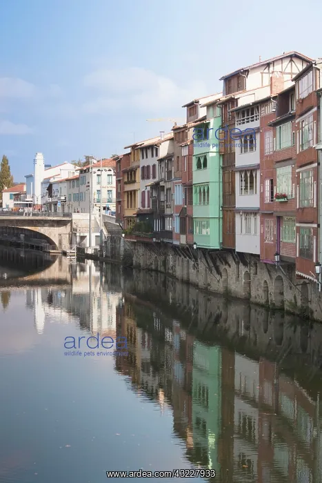 : France, Midi-Pyrenees Region, Tarn Department : France, Midi-Pyrenees Region, Tarn Department