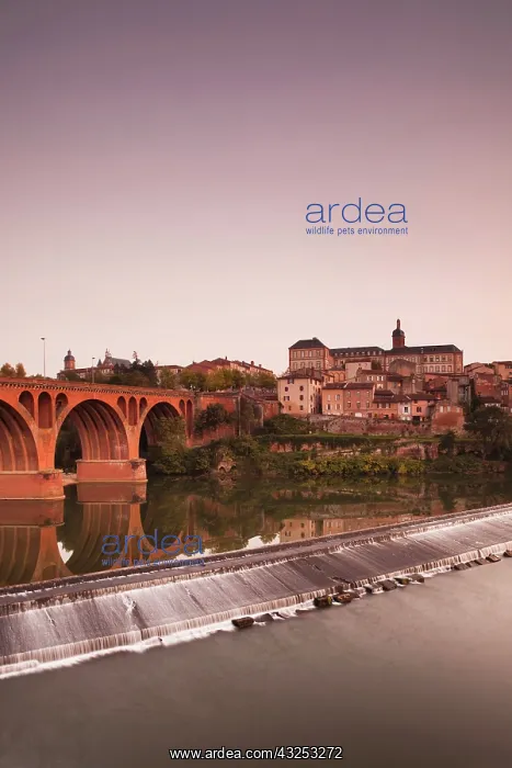 : France, Midi-Pyrenees Region, Tarn Department : France, Midi-Pyrenees Region, Tarn Department