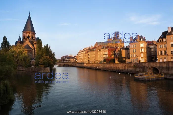 : France, Moselle, Lorraine Region, Metz : France, Moselle, Lorraine Region, Metz
