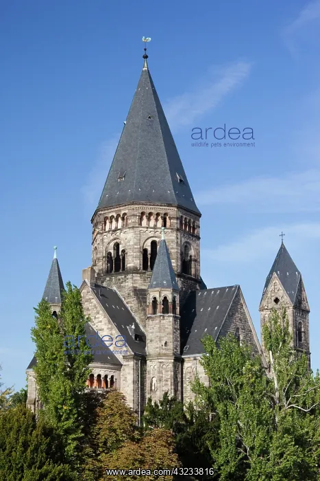 : France, Moselle, Lorraine Region, Metz : France, Moselle, Lorraine Region, Metz