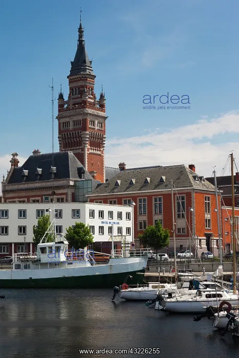 : France, Nord, French Flanders, Dunkerque : France, Nord, French Flanders, Dunkerque