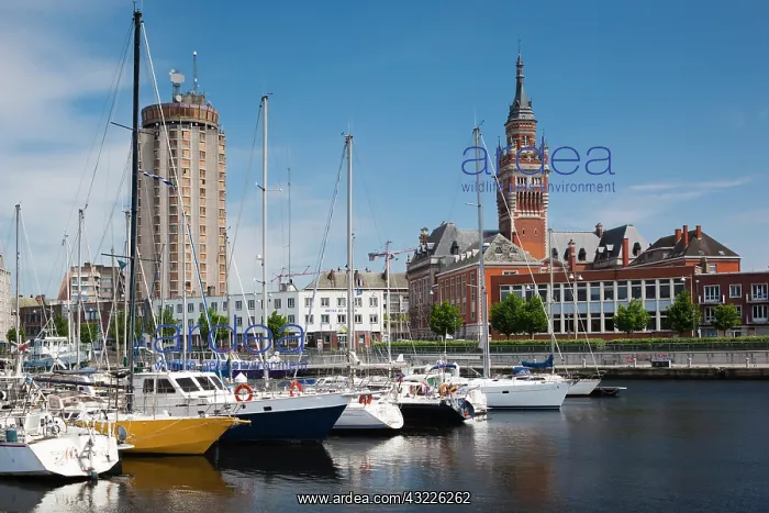 : France, Nord, French Flanders, Dunkerque : France, Nord, French Flanders, Dunkerque