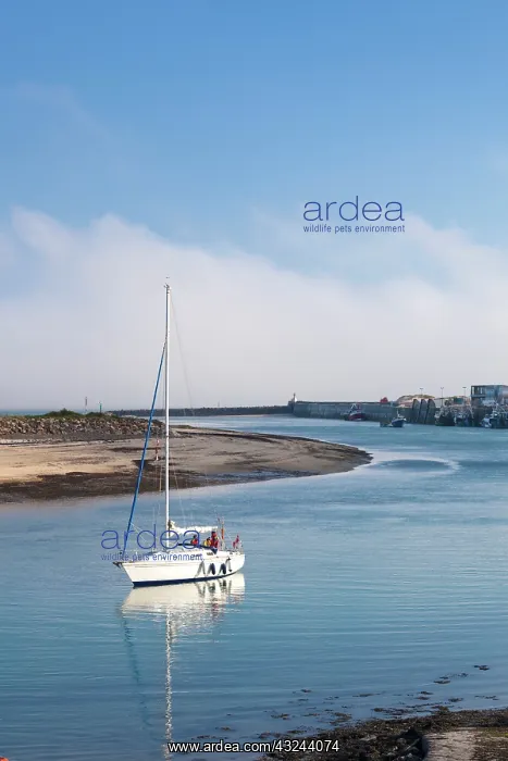 : France, Normandy, Barneville-Carteret, Carteret : France, Normandy, Barneville-Carteret, Carteret