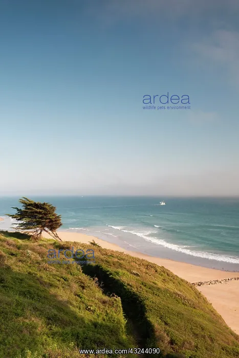 : France, Normandy, Barneville-Carteret, elevated : France, Normandy, Barneville-Carteret, elevated