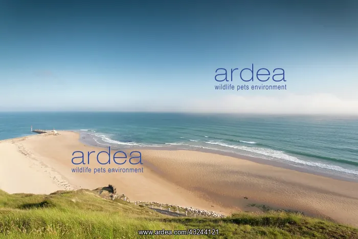  : France, Normandy, Barneville-Carteret, elevated