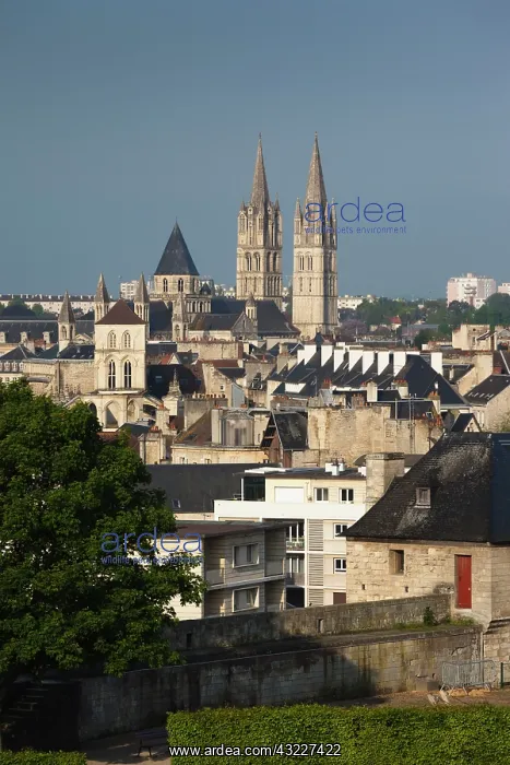 : France, Normandy, Caen, elevated city view : France, Normandy, Caen, elevated city view