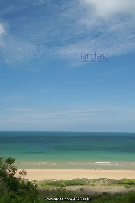 : France, Normandy, Colleville-Sur-Mer. View : France, Normandy, Colleville-Sur-Mer. View