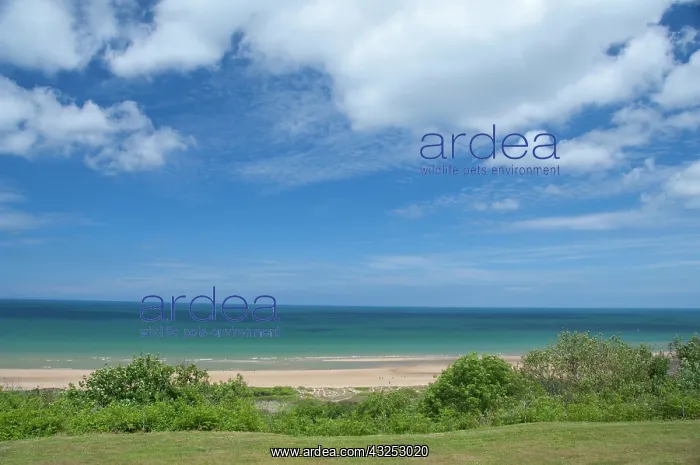 : France, Normandy, Colleville-Sur-Mer. View : France, Normandy, Colleville-Sur-Mer. View