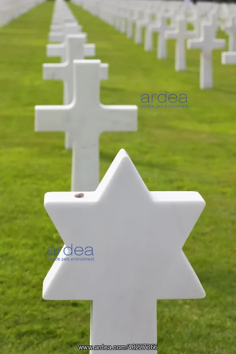 : France, Normandy, D-Day Beaches Area, Colleville : France, Normandy, D-Day Beaches Area, Colleville