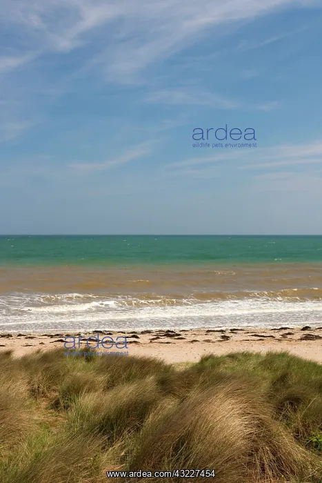 : France, Normandy, D-Day Beaches Area, Courseulles : France, Normandy, D-Day Beaches Area, Courseulles