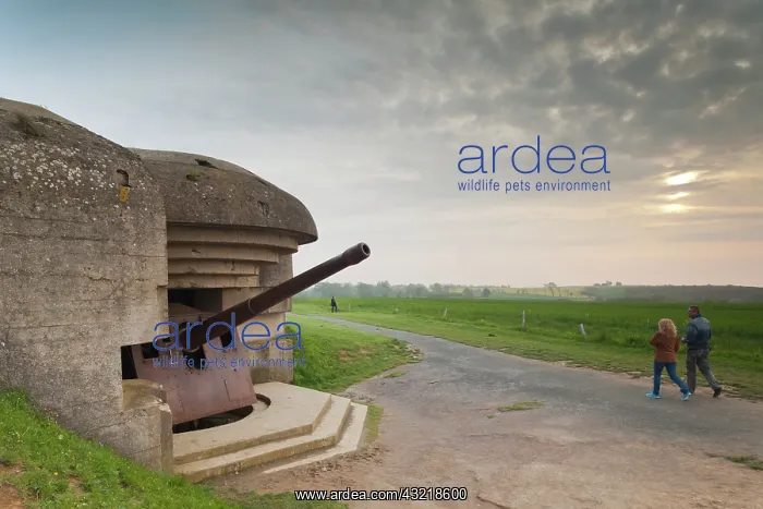 : France, Normandy, D-Day Beaches Area, Longues : France, Normandy, D-Day Beaches Area, Longues