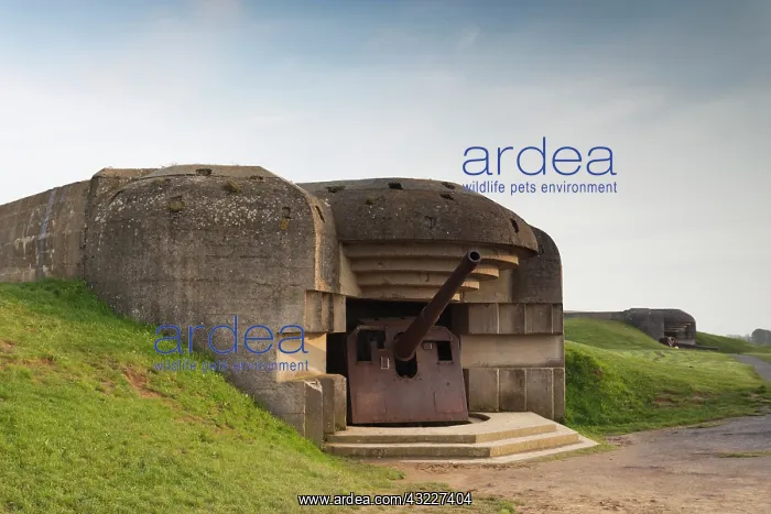  : France, Normandy, D-Day Beaches Area, Longues