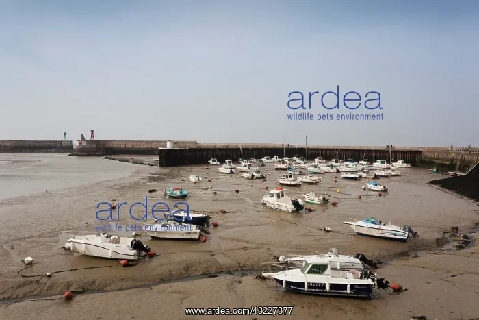 : France, Normandy, D-Day Beaches Area, Port