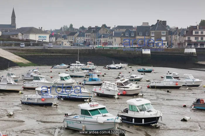 : France, Normandy, D-Day Beaches Area, Port : France, Normandy, D-Day Beaches Area, Port