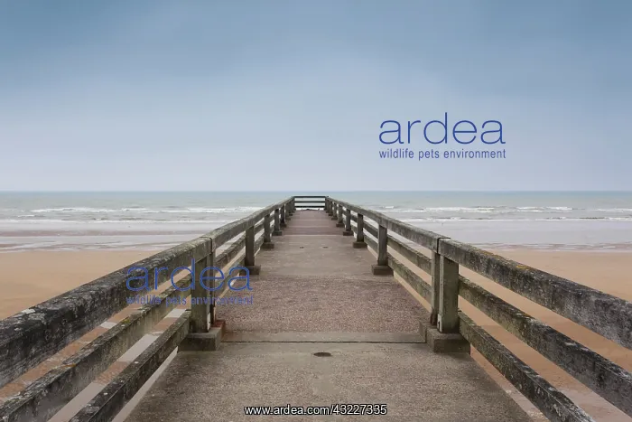 : France, Normandy, D-Day Beaches Area, St-Laurent : France, Normandy, D-Day Beaches Area, St-Laurent