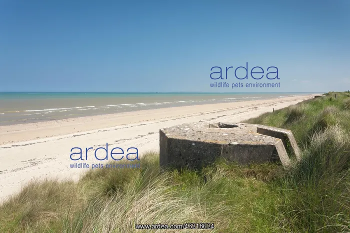 : France, Normandy, D-Day Beaches Area, WWII : France, Normandy, D-Day Beaches Area, WWII