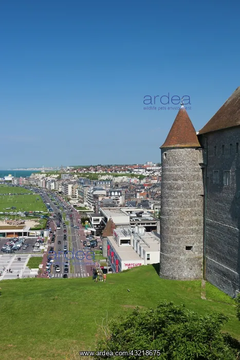 : France, Normandy, Dieppe, Dieppe Chateau : France, Normandy, Dieppe, Dieppe Chateau