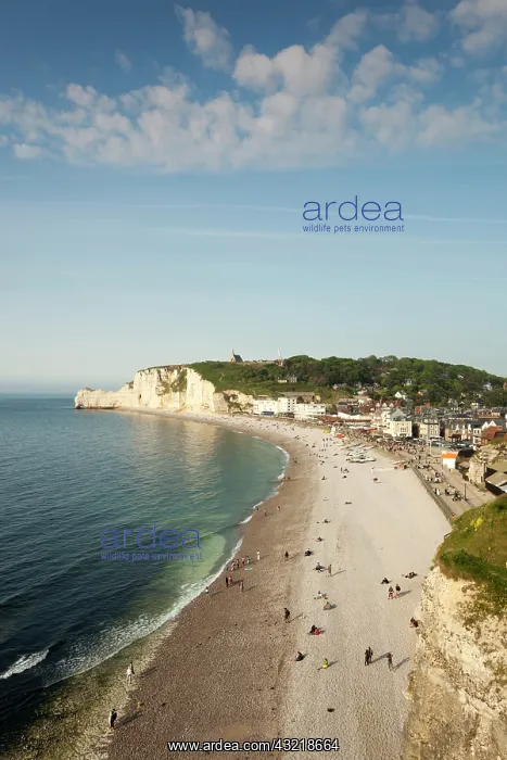 : France, Normandy, Etretat, elevated view : France, Normandy, Etretat, elevated view