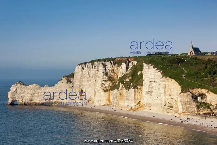 : France, Normandy, Etretat, Falaise De Amont : France, Normandy, Etretat, Falaise De Amont
