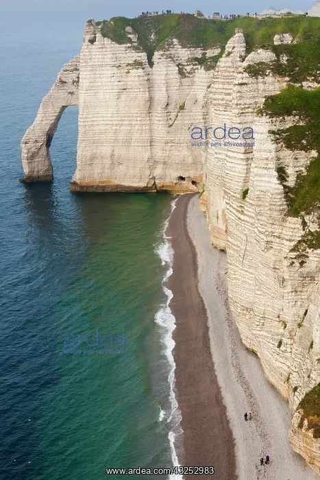 : France, Normandy, Etretat, Falaise De Aval : France, Normandy, Etretat, Falaise De Aval