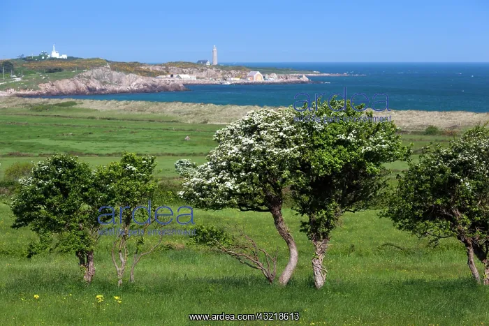 : France, Normandy, Fermanville, elevated : France, Normandy, Fermanville, elevated