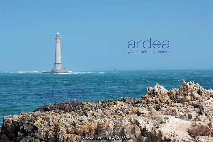: France, Normandy, Goury, Cap de la Hague : France, Normandy, Goury, Cap de la Hague