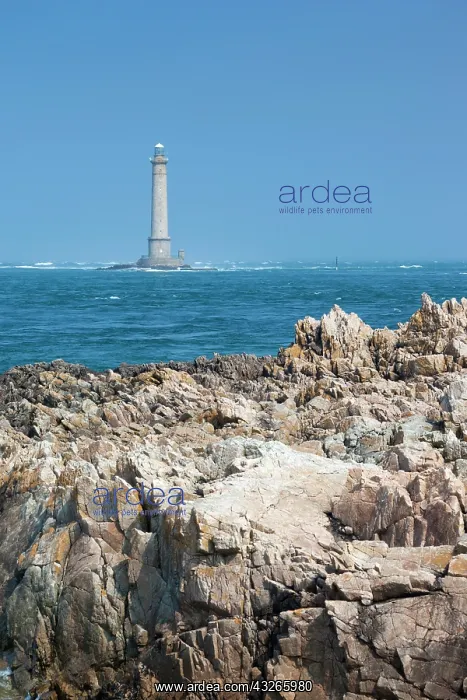 : France, Normandy, Goury, Cap de la Hague : France, Normandy, Goury, Cap de la Hague