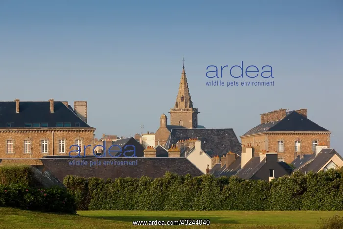 : France, Normandy, Granville, Haut Ville : France, Normandy, Granville, Haut Ville