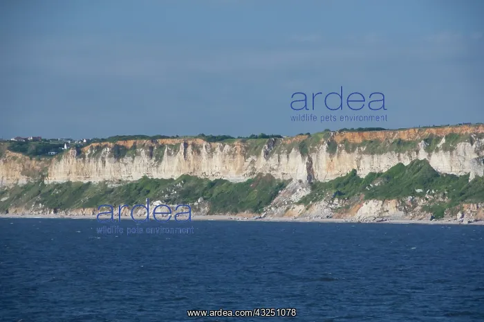 : France, Normandy, La Havre. Normandy coast : France, Normandy, La Havre. Normandy coast