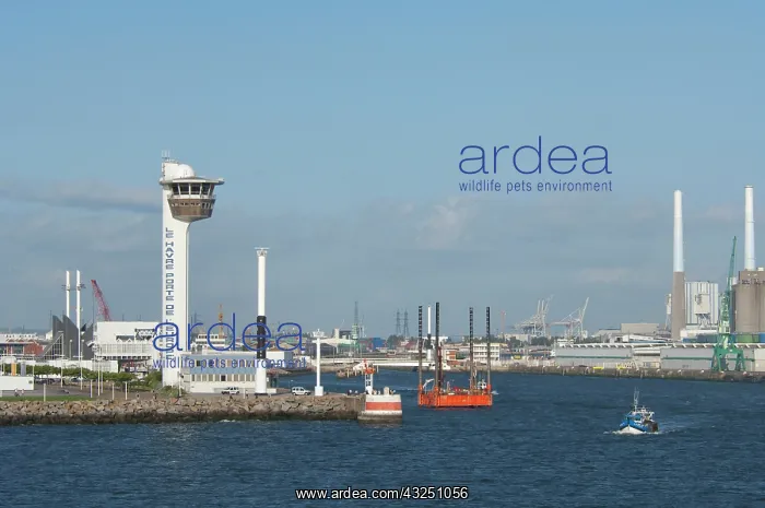 : France, Normandy, La Havre. Port of La Havre : France, Normandy, La Havre. Port of La Havre