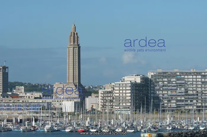 : France, Normandy, La Havre. Port of La Havre : France, Normandy, La Havre. Port of La Havre