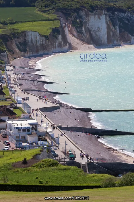 : France, Normandy, Pourville Sur Mer, elevated : France, Normandy, Pourville Sur Mer, elevated