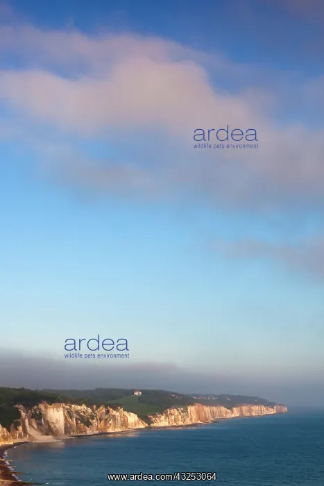 : France, Normandy, Pourville Sur Mer, elevated : France, Normandy, Pourville Sur Mer, elevated