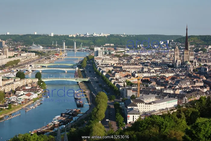 : France, Normandy, Rouen, elevated city view : France, Normandy, Rouen, elevated city view
