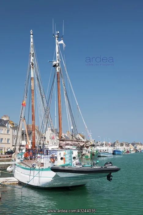 : France, Normandy, Saint Vaast la Hougue : France, Normandy, Saint Vaast la Hougue