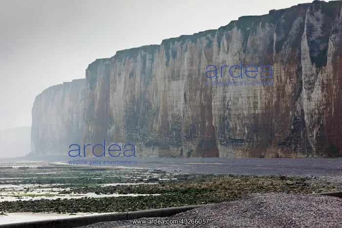  : France, Normandy, St-Valery en Caux, cliffs