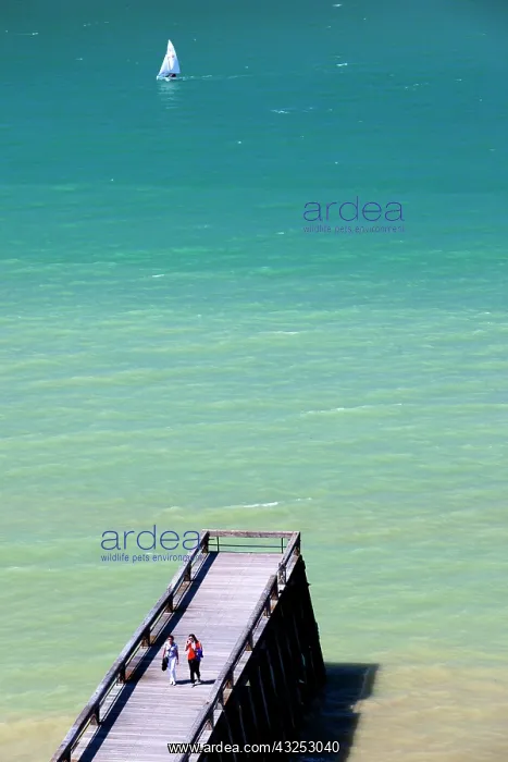 : France, Normandy, Veules les Roses, elevated : France, Normandy, Veules les Roses, elevated