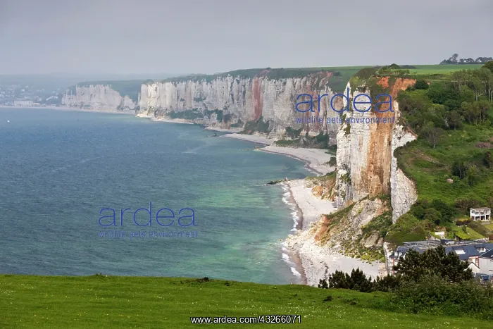: France, Normandy, Yport, town and cliffs : France, Normandy, Yport, town and cliffs