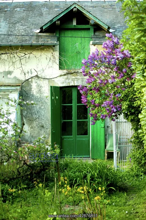 : France - Old House and garden : France - Old House and garden
