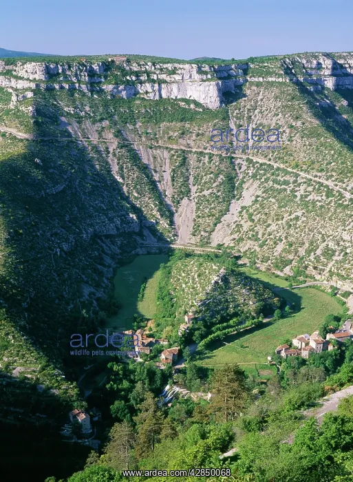 : FRANCE - Oxbow Lake in Limestone Gorge : FRANCE - Oxbow Lake in Limestone Gorge