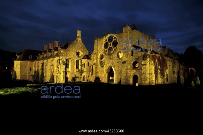 : France, Paris. Abbey des Vaux de Cernay : France, Paris. Abbey des Vaux de Cernay