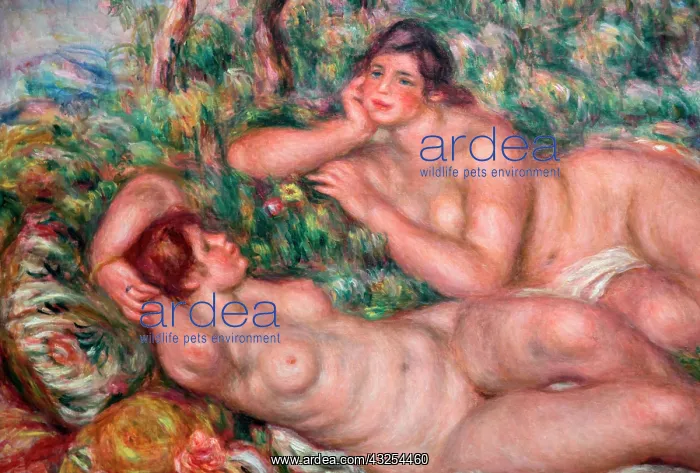 : France, Paris, The Bathers by Pierre-Auguste : France, Paris, The Bathers by Pierre-Auguste