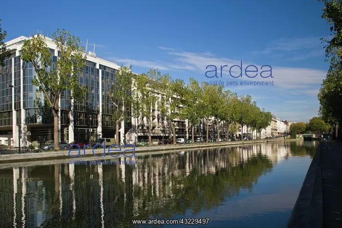 : France, Paris, Canal St-Martin, buildings : France, Paris, Canal St-Martin, buildings