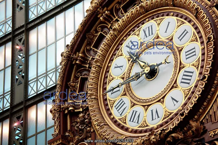 : France, Paris, The clock in the main exhibition : France, Paris, The clock in the main exhibition