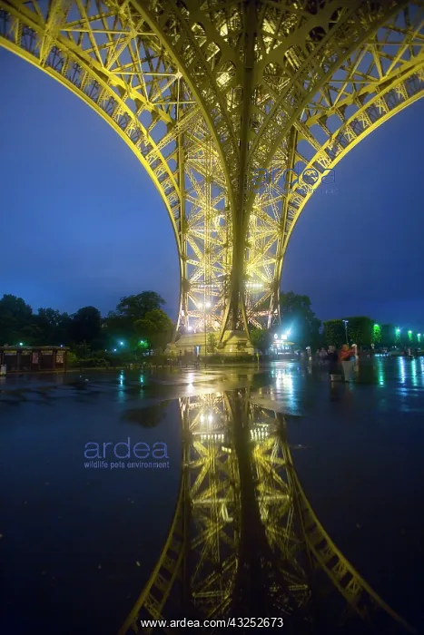 : France, Paris. Part of the Eiffel Tower : France, Paris. Part of the Eiffel Tower