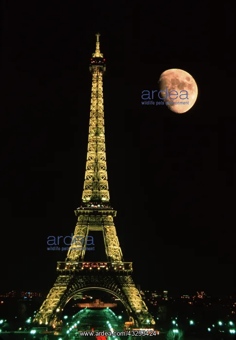 : France, Paris. Eiffel Tower at night with : France, Paris. Eiffel Tower at night with